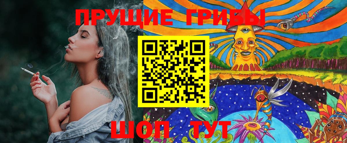 Галлюциногенные грибы Cubensis  Вход с VPN  Ипатово 