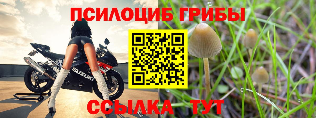 Псилоцибиновые грибы ЛСД Ипатово